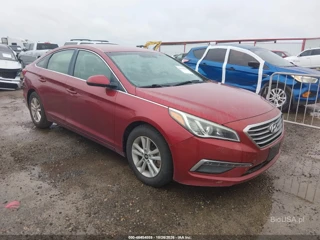 HYUNDAI HYUNDAI SONATA SE