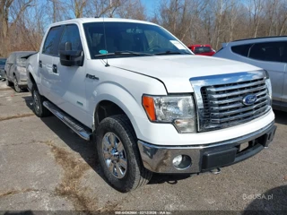 FORD FORD F-150 XLT