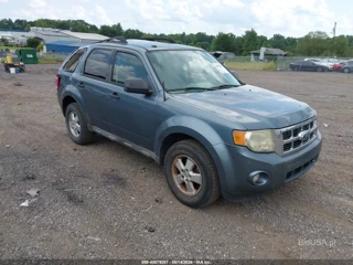 FORD FORD ESCAPE XLT
