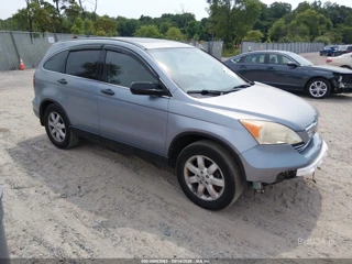 HONDA HONDA CR-V EX