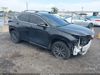 LEXUS LEXUS NX 350 PREMIUM