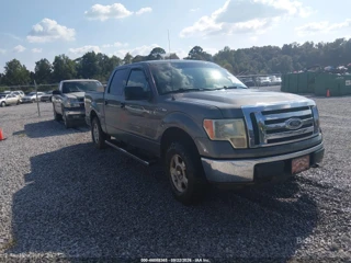FORD FORD F-150 FX4/KING RANCH/LARIAT/PLATINUM/XL/XLT