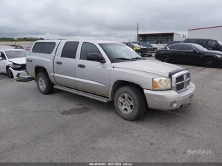 DODGE DODGE DAKOTA SLT