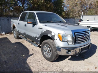 FORD FORD F-150 XLT