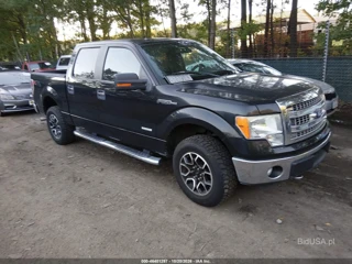 FORD FORD F-150 XLT