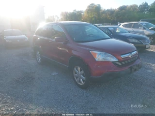 HONDA HONDA CR-V EX-L