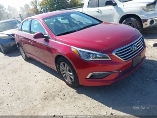 HYUNDAI HYUNDAI SONATA SE