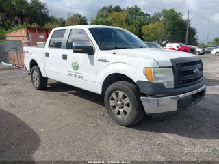FORD FORD F-150 XL