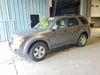 FORD ESCAPE XLT