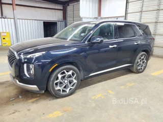 HYUNDAI PALISADE CALLIGRAPHY