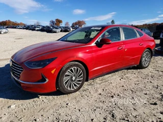 HYUNDAI SONATA HYBRID LIMITED