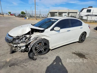 HONDA ACCORD SPORT SPECIAL EDITION