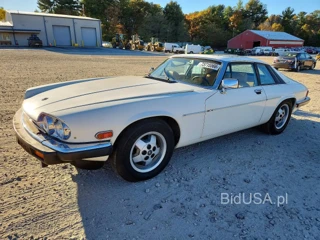 JAGUAR XJS