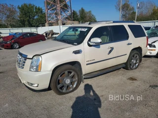 CADILLAC ESCALADE LUXURY