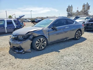 HONDA ACCORD EXL