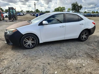 TOYOTA COROLLA LE