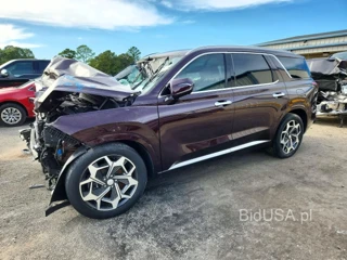 HYUNDAI PALISADE CALLIGRAPHY