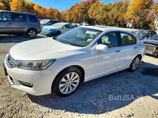 HONDA ACCORD EXL