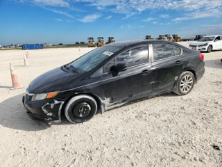 HONDA CIVIC EXL