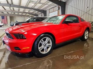 FORD MUSTANG