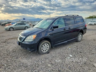 HONDA ODYSSEY EXL