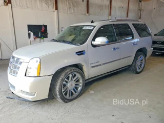 CADILLAC ESCALADE PLATINUM