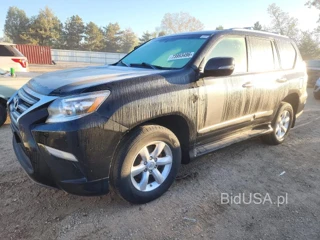 LEXUS GX 460