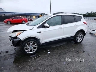 FORD ESCAPE SEL