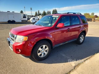 FORD ESCAPE LIMITED