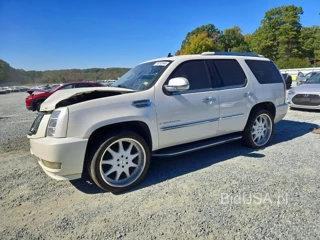 CADILLAC ESCALADE LUXURY