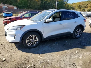 FORD ESCAPE SEL