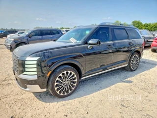 HYUNDAI PALISADE CALLIGRAPHY