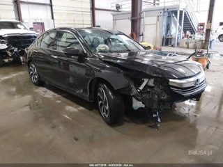 HONDA HONDA ACCORD EX-L V6