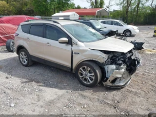 FORD FORD ESCAPE SEL