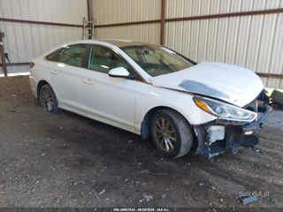 HYUNDAI HYUNDAI SONATA SE