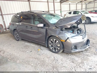 HONDA HONDA ODYSSEY ELITE