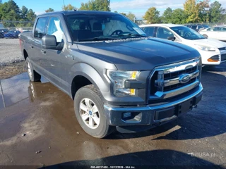 FORD FORD F-150 XLT