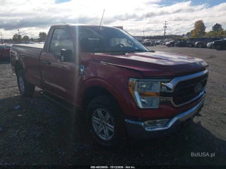 FORD FORD F-150 XLT