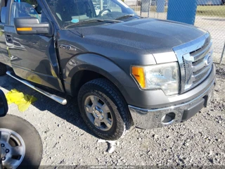 FORD FORD F-150 XLT