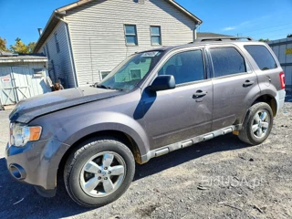 FORD ESCAPE XLT