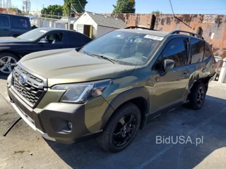 SUBARU FORESTER WILDERNESS