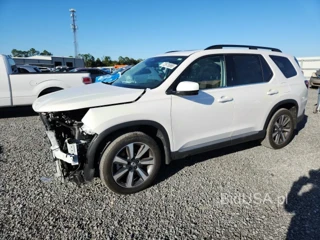 HONDA PILOT ELITE