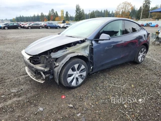 TESLA MODEL  Y