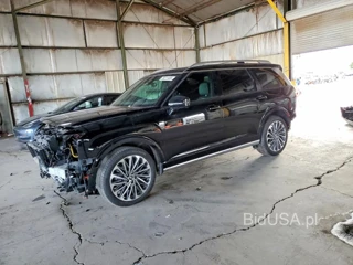 HYUNDAI PALISADE CALLIGRAPHY