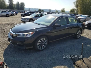 HONDA ACCORD HYBRID EXL