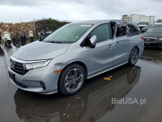 HONDA ODYSSEY ELITE