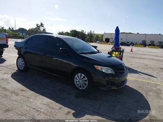 TOYOTA TOYOTA COROLLA LE