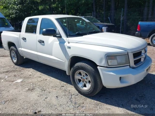 DODGE DODGE DAKOTA BIGHORN/LONESTAR