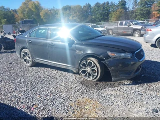 FORD FORD TAURUS SHO