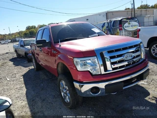 FORD FORD F-150 FX4/HARLEY-DAVIDSON/KING RANCH/LARIAT/PLATINUM/XL/XLT